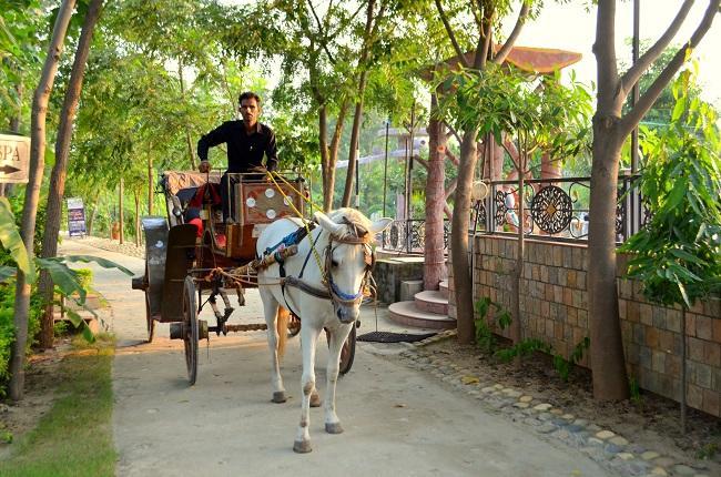 Kangs Nirvana Resorts And Spa Mahalpur Экстерьер фото